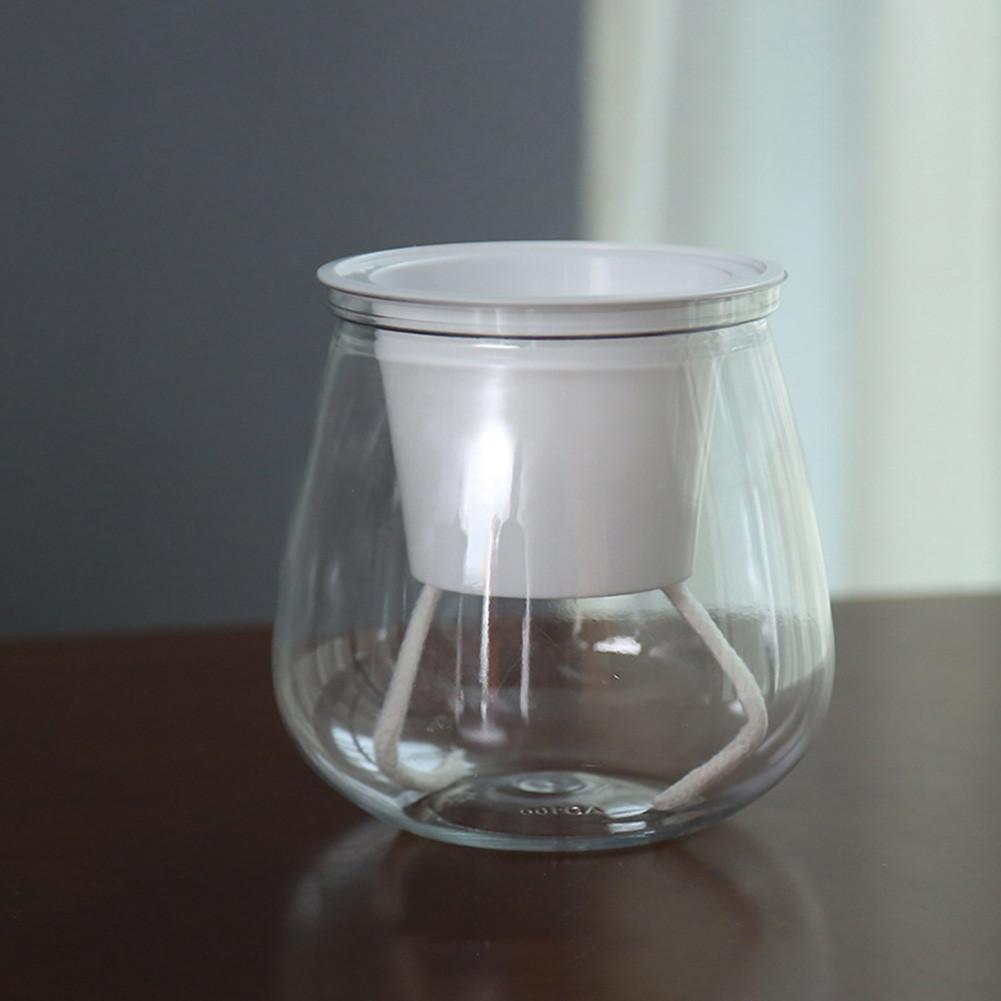 Breathable Transparent Flower Pot Constructed from PP Resin for Home Garden Office and Hotel Green Applications