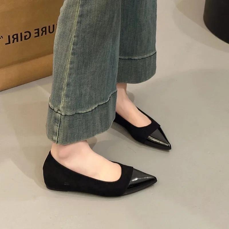 Modne francuskie szpiczaste buty damskie 2025 Wiosna Nowe Eleganckie Uniwersalne Eleganckie Damskie Płytkie Wycięcie Niski Obcas Jednowarstwowe Buty