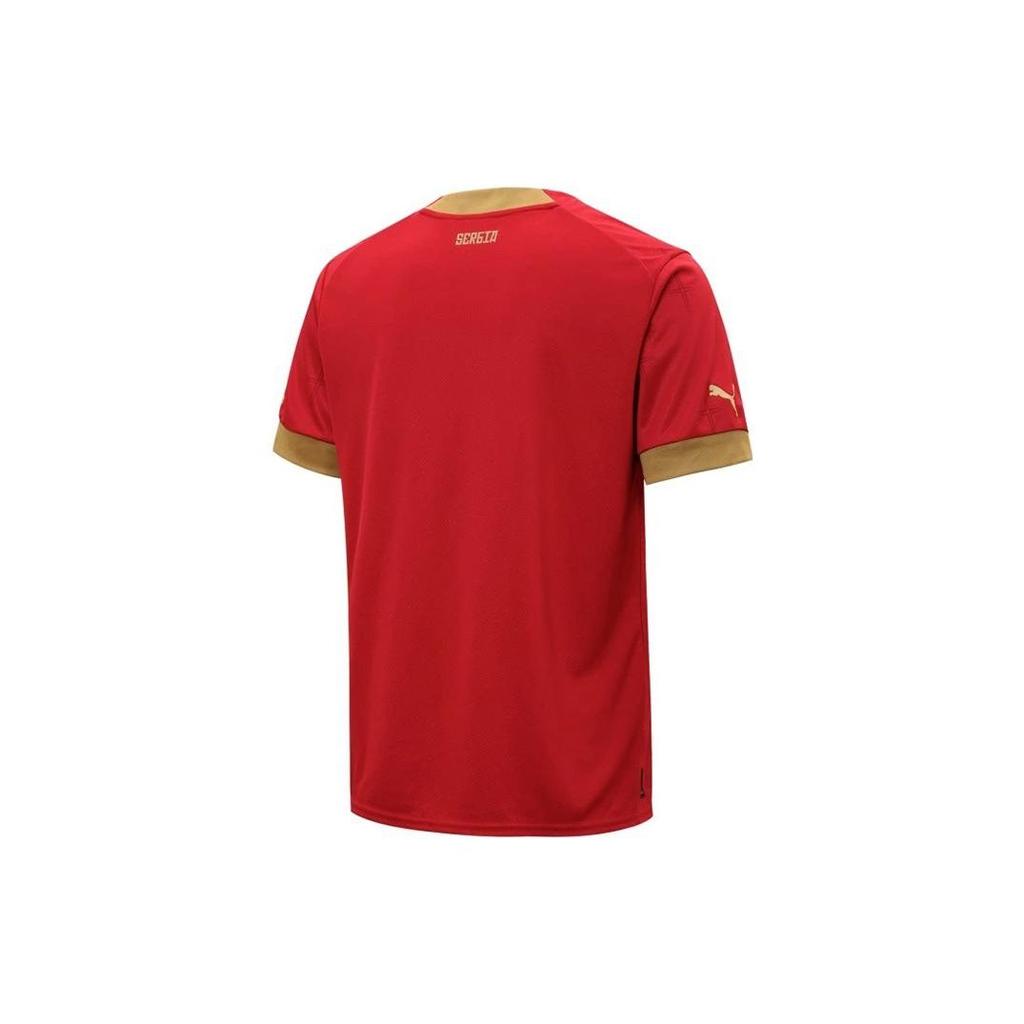Puma 2022 Qatar World Cup Embroidered Logo Crew Neck Short Sleeve Soccer Jersey, Fan Edition, Serbia National Team, Home Men Tops 765760-01
