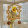 Hang Bird Swing Toy Wooden Bird Foraging Swing Funny Parrot Cage Toy  Entertainment
