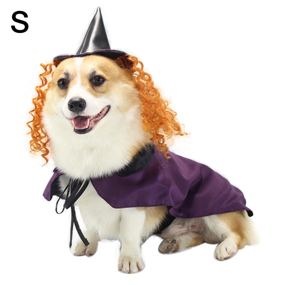 small dog witch costume
