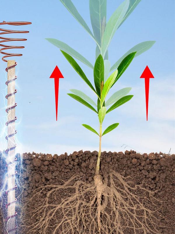 6Pcs Electroculture Plant Stakes Garden Coppers Coils Antennas for Growing Garden Plant Vegetables Using