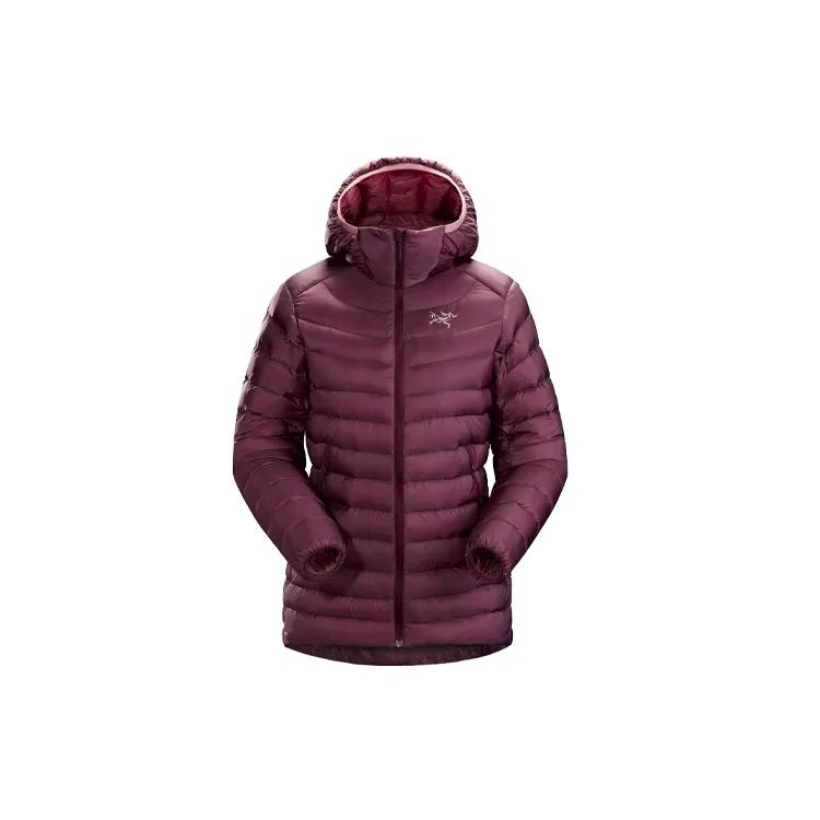 Arc'teryx CERIUM LT Down Jacket Women's (Unisex) Down Jackets 26125