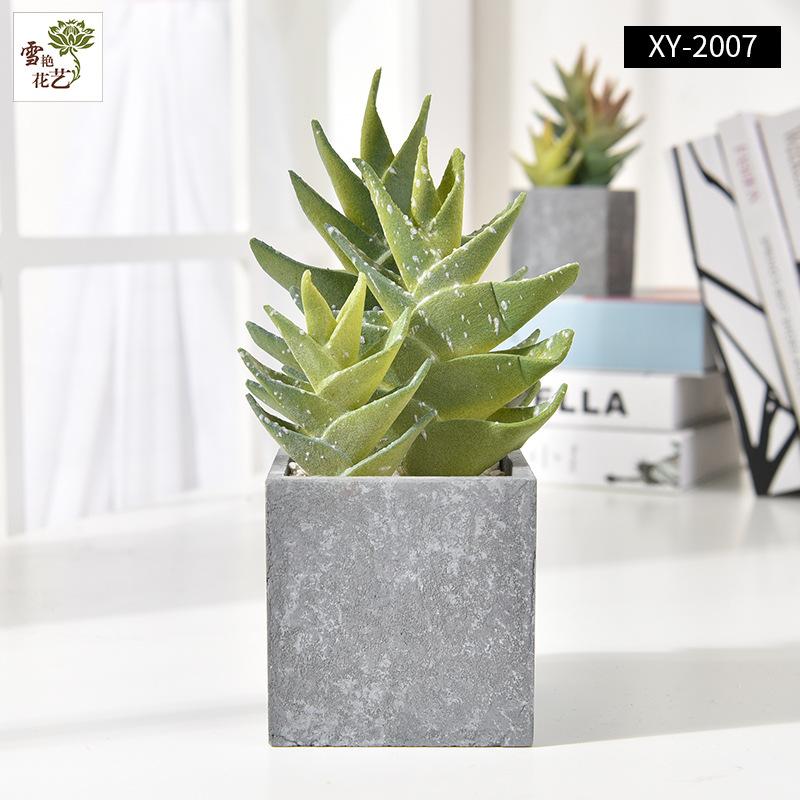 Simulatie huisdecoratie balkon vloersieraad kunstplant simulatie cactus potplant