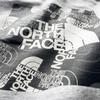 North Back Scatola Grande Pile Evolution Scatola Lancio Riempimento TNF Grigio Pallido Taglia L [The Face] Felpa da Uomo, Stampa, Logo, Foderata, Felpa con Cappuccio, Melange, [Usato]