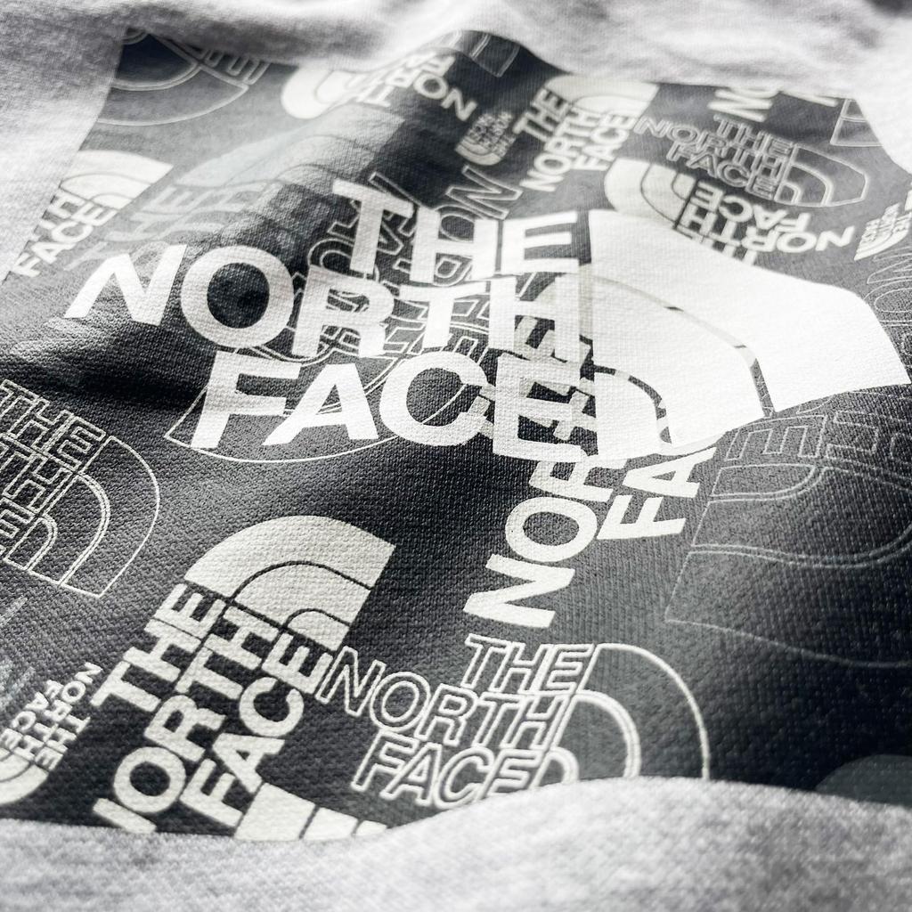 North Back Scatola Grande Pile Evolution Scatola Lancio Riempimento TNF Grigio Pallido Taglia L [The Face] Felpa da Uomo, Stampa, Logo, Foderata, Felpa con Cappuccio, Melange, [Usato]