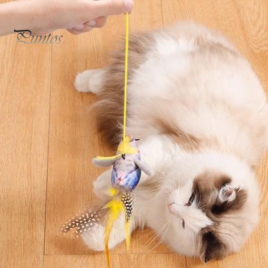 Pouncing Cat Toy Chirping Bird Interactive Simulation Electric Touch Activated Hunting Instinct Plush Teaser for Indoor Cats And Dogs Sounds