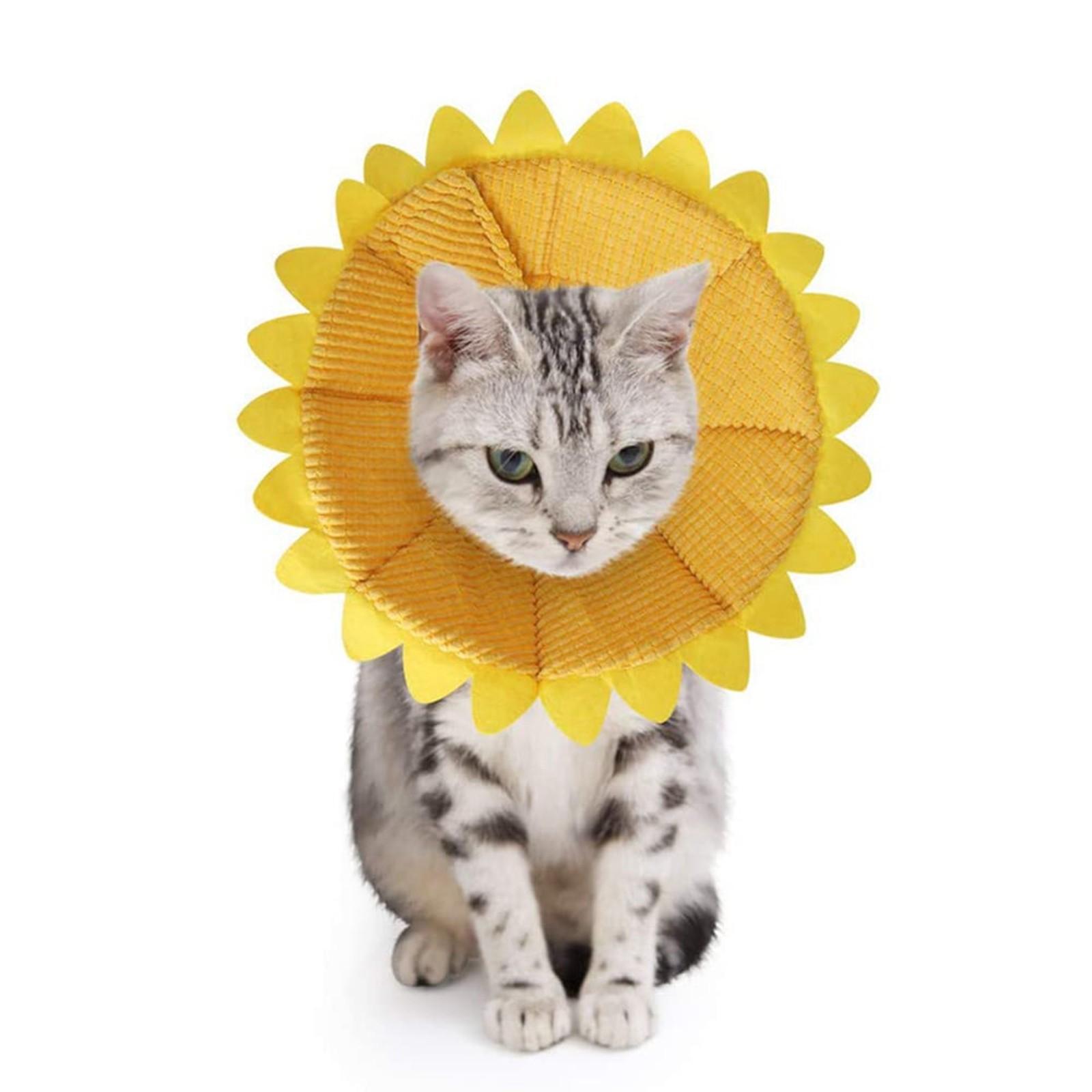 

Восстановление кошки после шеи, кольцо, ошейник с подсолнухом, кошачий ошейник, красивая обложка, украшение для фото кошки и собаки жёлтый