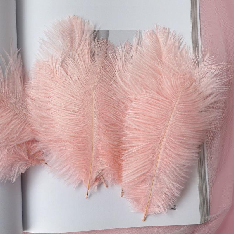 Colored Ostrich Hair 15-20Cm Wedding Ornament Wall Decoration Feather Wall Hand Bouquet Diy Dream Catcher Material