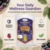 Biotic Jamun Guthli Powder - Jamun Seed Powder - Jamun Beej Powder - Jambu Beej Churan - 400 Gm