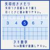 Raymay Fujii Non-Slip Cutting Ruler 18cm ACJ1445 with Stainless Steel Edge Made in Japan Eco-Friendly Recycled PET Grid Ruler