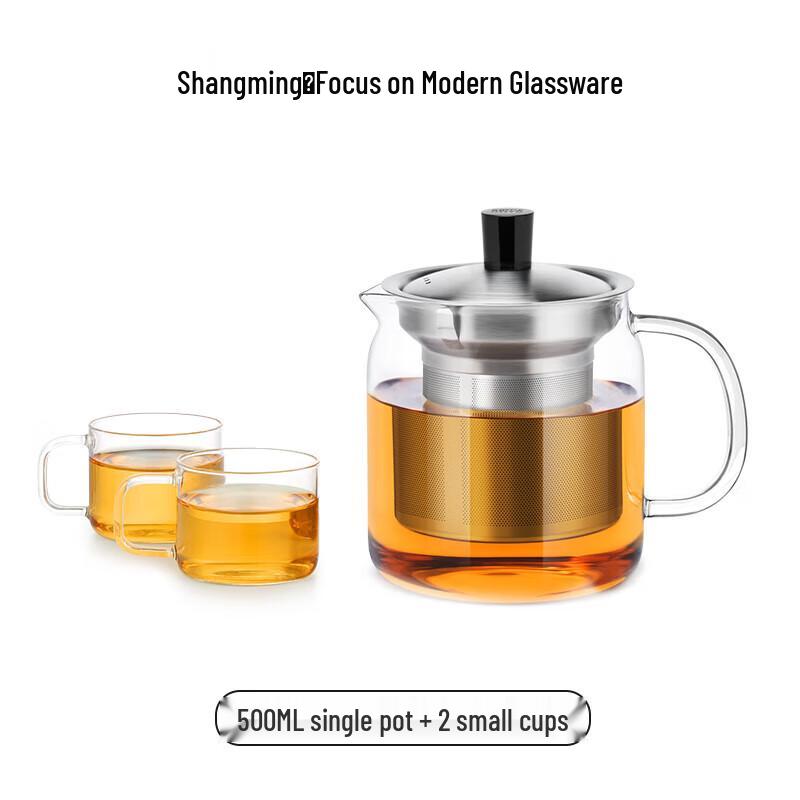 Heat-Resistant Glass Teapot Set with Stainless Steel Infuser