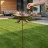 Rustproof Metal Freestanding Birdbath Standing Bowl Bird Feeding Station  Patio Yard