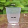 Translucent Plastic Phalaenopsis Planting Pots – 2.5", 3.5", 4" Sizes
