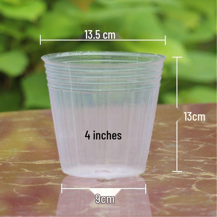 Translucent Plastic Phalaenopsis Planting Pots – 2.5", 3.5", 4" Sizes