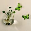 Glass Vase Wall Hanging Hydroponic Terrarium Fish Tanks Potted Plant Flower Pot