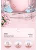 Nano Mist Facial Steamer: Hydrating & Pore-Opening Humidifier for Home