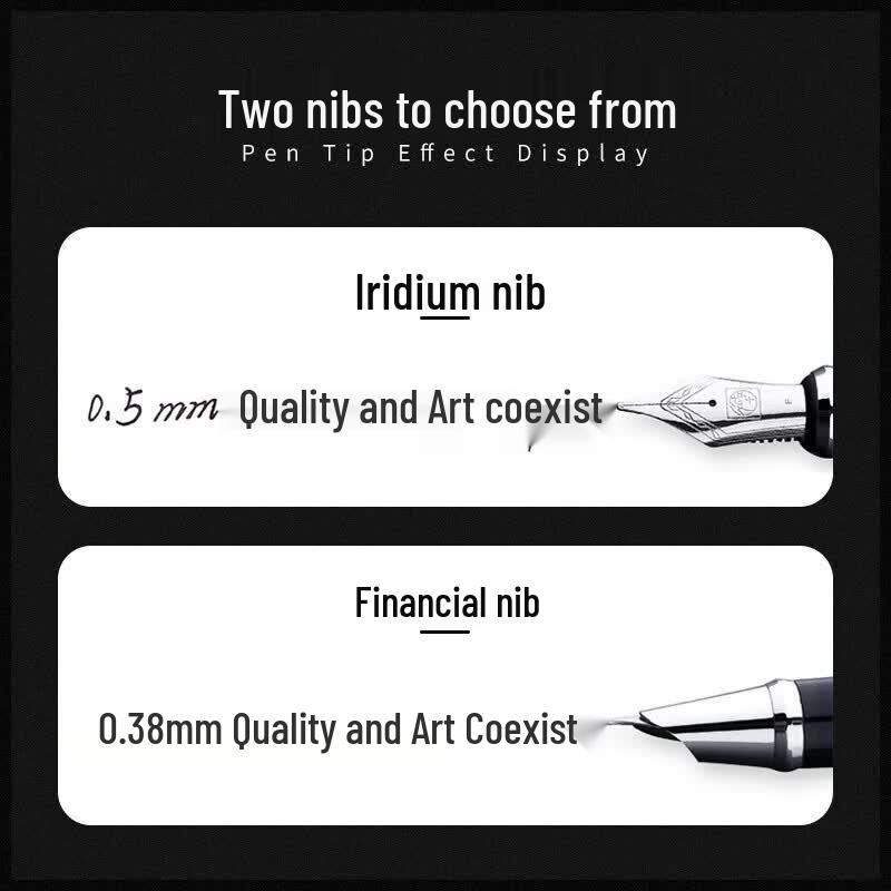 Picasso T717 Extra Fine Fountain Pen Set