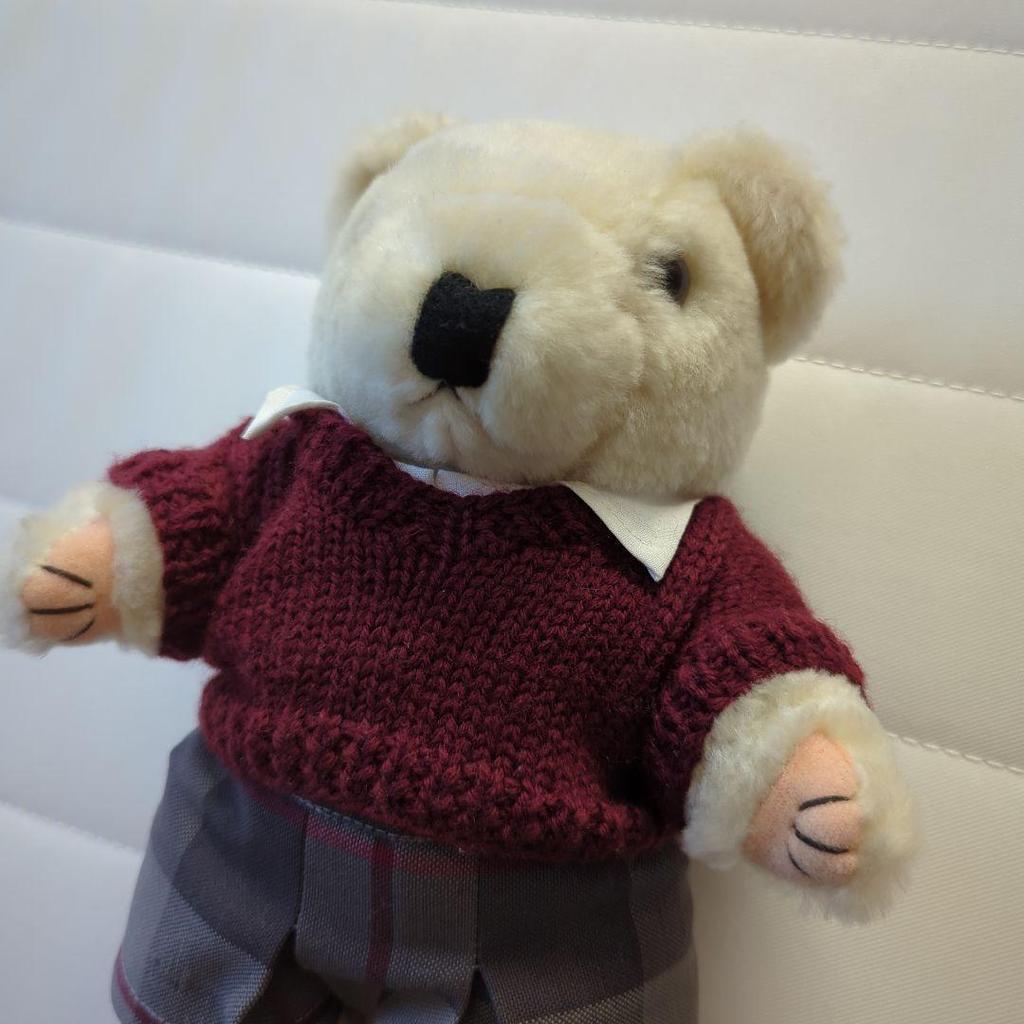 [USED] Teddy Bear High School Girl