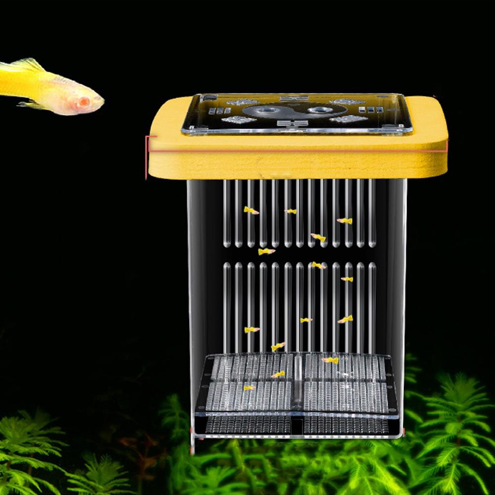 Detachable Guppy Breeder Box Transparent Fish Tank Divider Floating Hatching Box  Fish Breeding