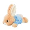 Nakajima Corporation Peter Rabbit (TM) Plush Toy S HAI 223494-26