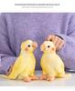 Cute Yellow Cockatiel Plush Toy – Small Bird Figurine Ornament for Parent-Child Birthday Gift