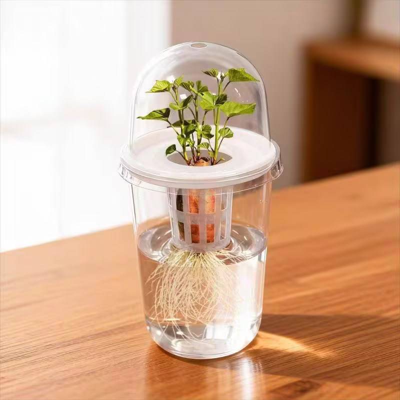 Clear Nursery Pots With Lid Plastic Seed Starting Pots With Drainage Hole Plant Nursery Pots Seed Starter Gardening Seedling Cup