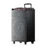 Newsmy N520 Portable 12-inch Bluetooth KTV Amplifier CN Plug (adapter Included)