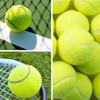63mm High Elasticity Tennis Professional Tennis Training Game Ball Outdoor Dogs Bite Chase and Chomp Tennis Ball