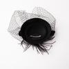 Čajový dýchánek Fascinátor Derby Hat Ženy Fascinátor Čelenka Závoj Peří Fascinátor Derby Pillbox Hat Koktejl Závoj Síťovina