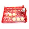 20 Eggs Incubator Turn Eggs Tray 220V/110V/12V Motor Chicken Eggs Automatic Hatching DIY Incubator Accessories Equipment 1 Set