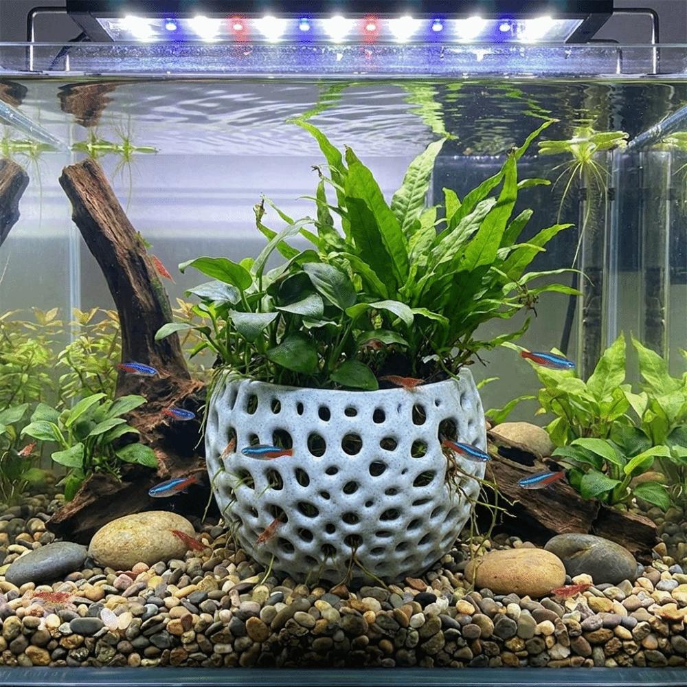 Hollow Aquarium Planter Pot 3D Printed Aquatic Plant Container Fish Tank Landscape