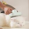 Pet Shedding Brush Self Clning Negative Ion Pin Comb Teeth   Effect Pet Grooming Hair Removal Brush for Cat Dog