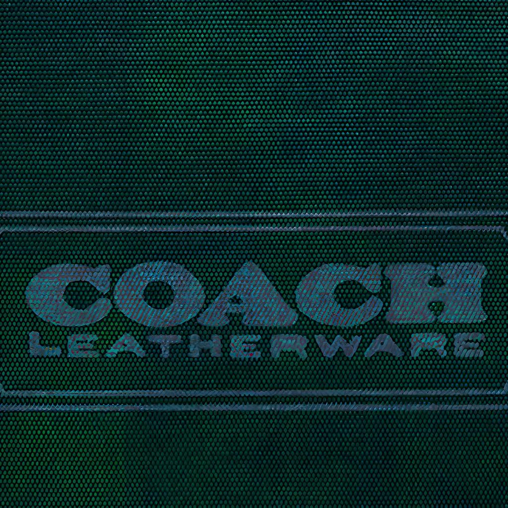Coach Pouch Tech Series 30 Zipper Closure Canvas With Refined Calfskin Clutch Women Clutch Dark-Green C7948-GTI4
