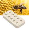 High Quality Silicone Queen Bee Cup Mold, Reusable, Easy To Clean, Durable, Suitable for Beekeeping Tools for Wax Grafting