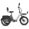 Bicicleta Eléctrica Fafrees F20 Mate Motor de 250W Frenos de Disco Doble Neumático de Aire 20"x2.5" Plegable E-Bike de Carga Pantalla LCD 48V 21Ah Carga Máxima 180Kg