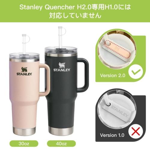 Stanley Straw Covers & Spill Stoppers, Set of 9 | Fits Stanley Quencher H2.0 40oz and 30oz | Stanley Cup Accessories, Straw Cover Caps, Square and Rou