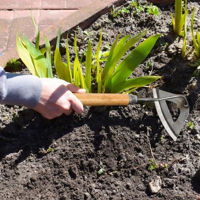 Garten-Hohlhacke, Unkrautstecher mit Griff, hohe Haltbarkeit, rostfrei, nicht leicht verformbar, weit verbreitetes Unkrautstecher-Werkzeug für den Außenbereich