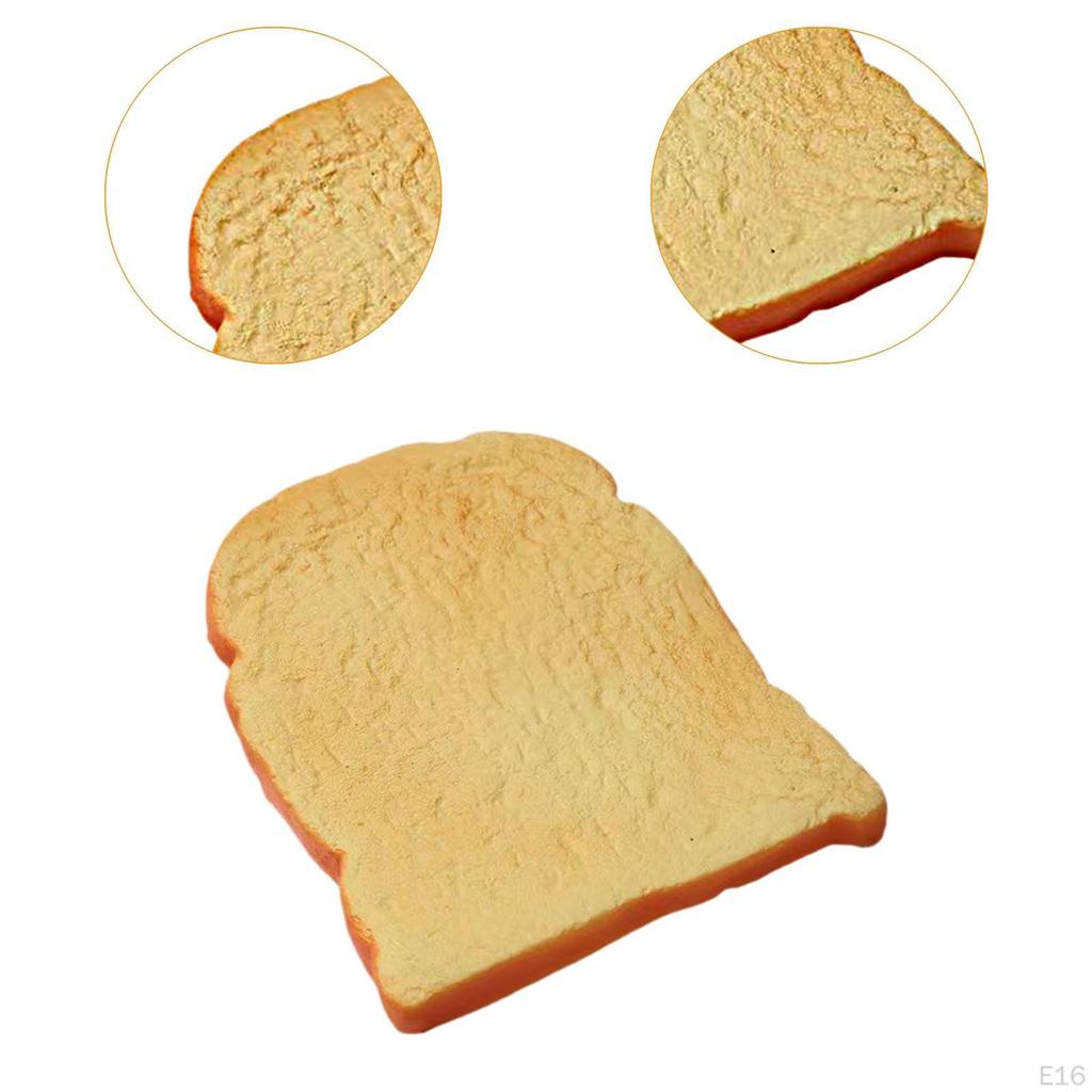 Bread Toy for Adults And Kids