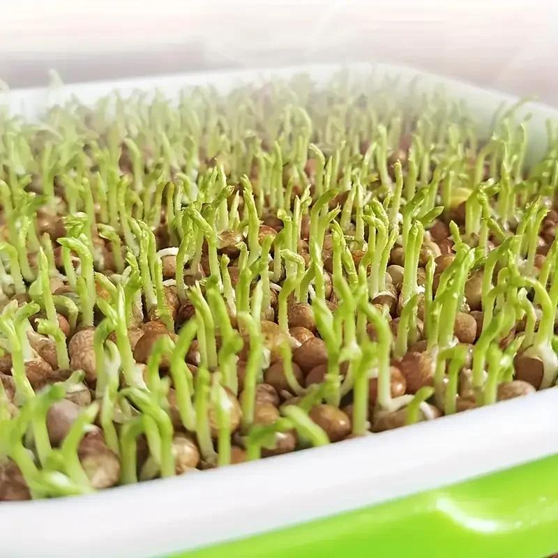 2026New Home Germination Tray Tray Seed Germination Tray Seedling Tray Wheatgrass Seed Planting Soilless Cultivation Planting