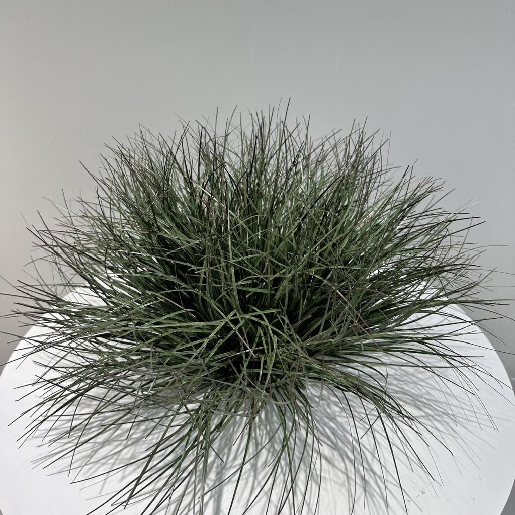 Artificial Grass Ball Ornament for Indoor Landscaping and Photography 