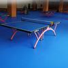 Enlio Professional Table Tennis Floor Mat 5.5mm