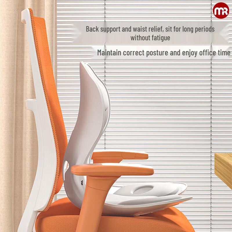 Morphy Ergonomic Lumbar Support Cushion