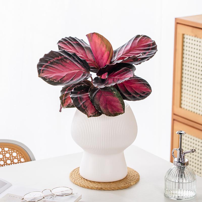 1 шт. Скандинавская ваза для цветов Имитация керамики Пластиковая ваза для цветов Украшение для стола в гостиной