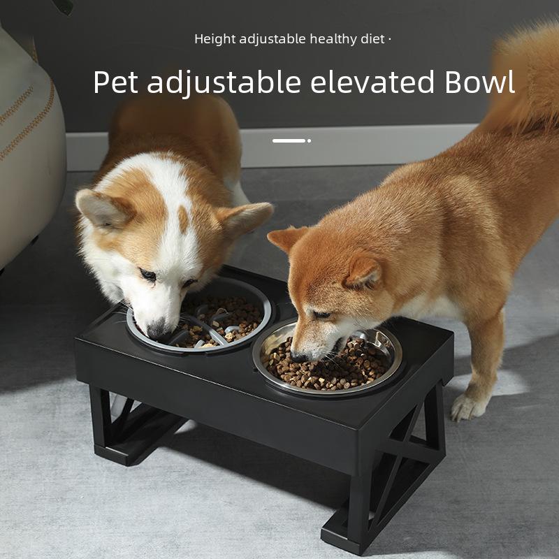 Gamelle double surélevée pour animaux de compagnie: Mangeoire pour chien et chat en acier inoxydable