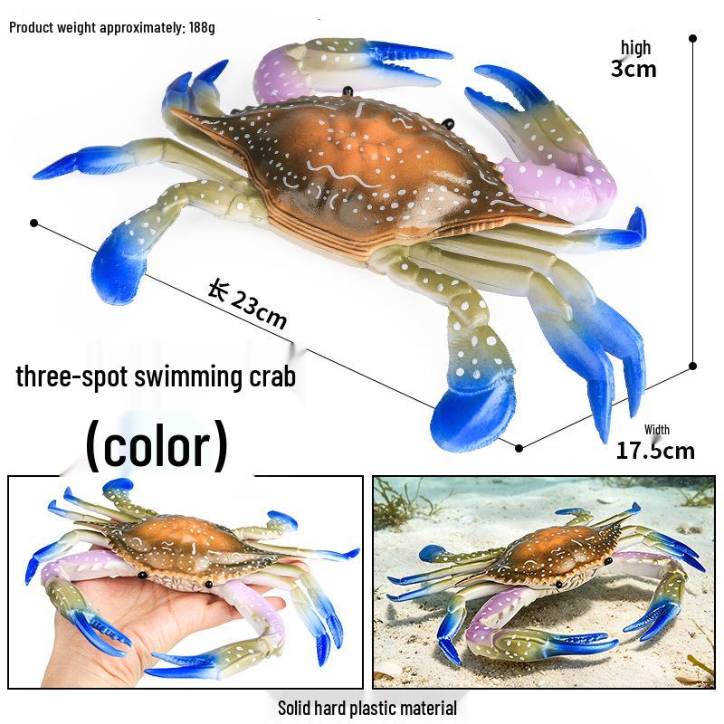 Ocean Crab Simulation Toy Set: Includes Hermit, Swimming, and Three-Spot Plastic Models