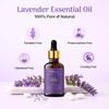 Mehva Lavender Essential Oil | 30Ml | 100% Pure & Natural | For Stress Relief & Aromatherapy | Soft & Shiny Hair | Nourishes Scalp | Home Fragrance