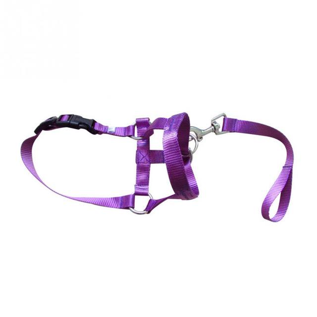 grreat choice mesh muzzle