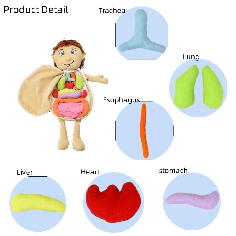 Human Cognitive Children Organ Body Structure Puzzle Plush Early Education Toys
