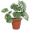 Flower Pots 6 Pcs Terracotta Red Ø 22 X 18 Cm Plastic